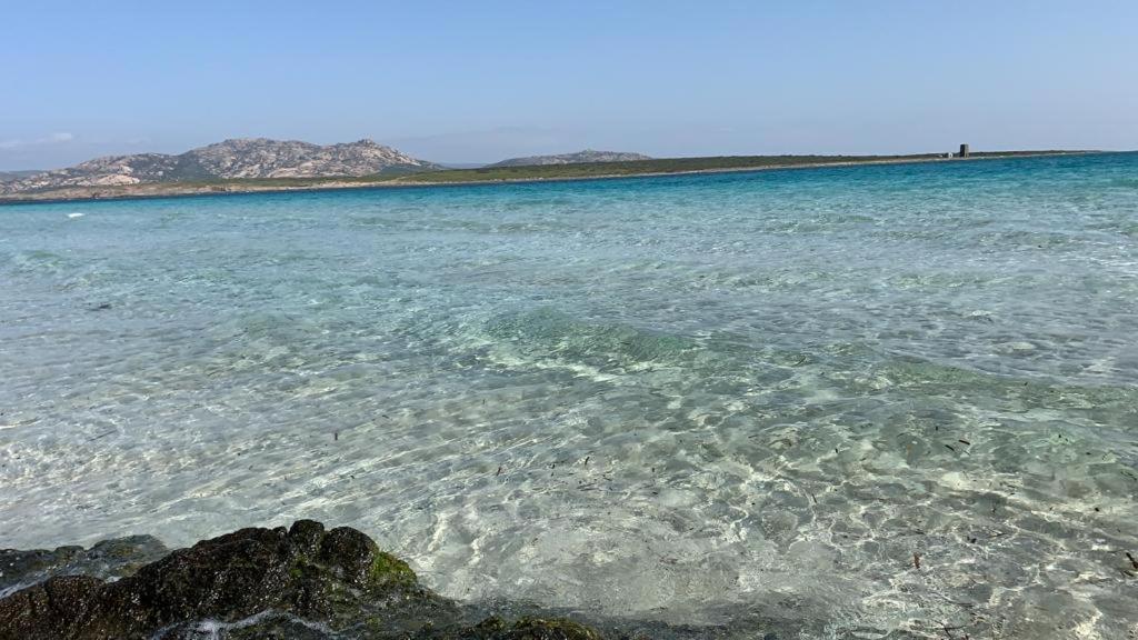 Casa Antares Διαμέρισμα Stintino Εξωτερικό φωτογραφία