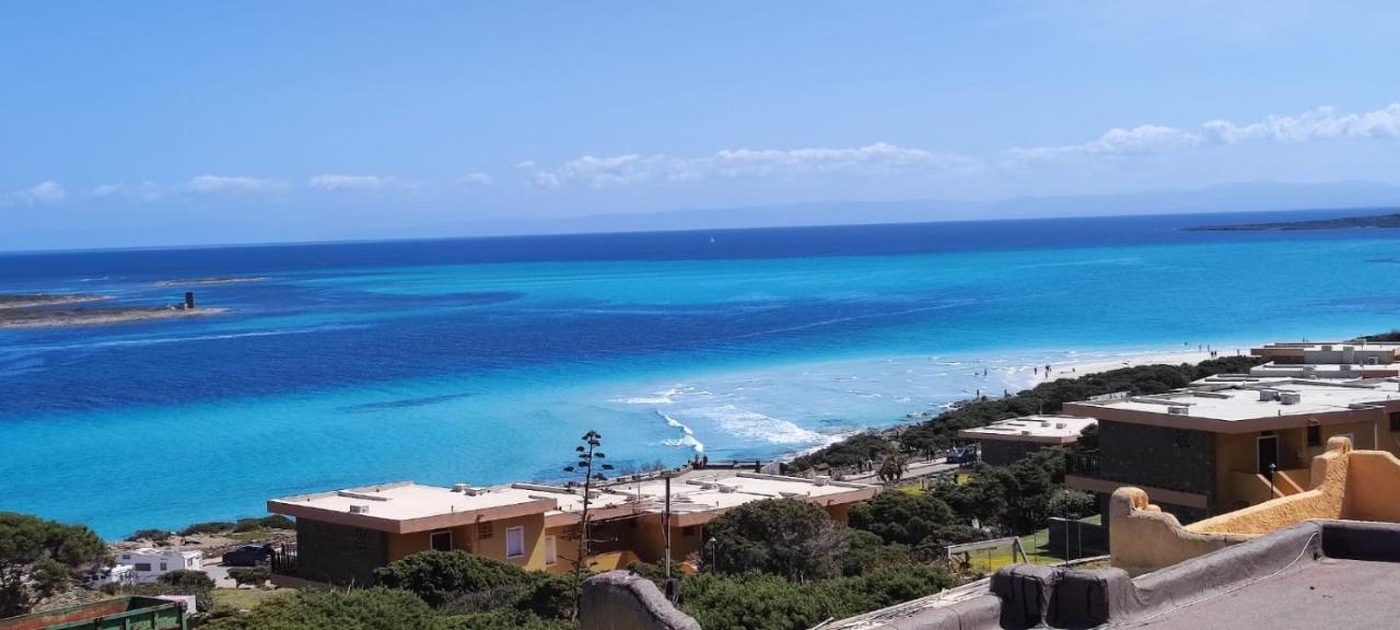 Casa Antares Διαμέρισμα Stintino Εξωτερικό φωτογραφία